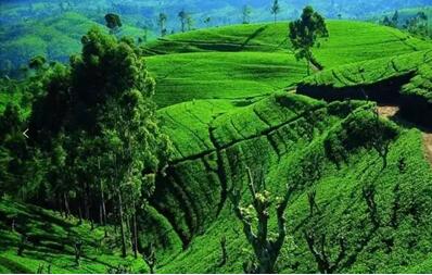 �����ͯ������Ȼ���z��׌˯�߻ؚw���|