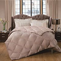 ��ɭ�r(sh��)��ɫ�����Z�q������