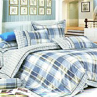 �ŚW�L(f��ng)��