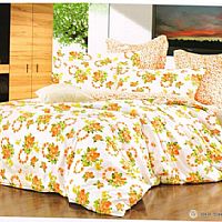 С�~���㣨С����