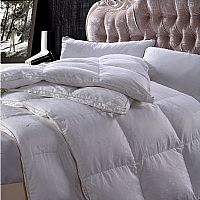 ���B(t��i)�Z�q��