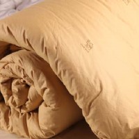 ���F�q��