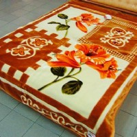 �����𪄽{�]ë̺