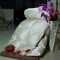 ��������q��(FYRB-003)