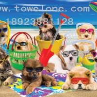 ��ε׻���ӡ��ɳ����ë��