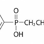 ��ȼ����CEPPA��