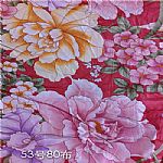 ȫ��Ⱦɫ��ӡ��