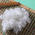 ɳ�l���������