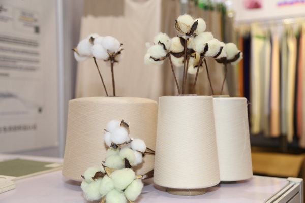 ��չ���ȇ��H�Ј��������ИI�a�I����������2022�Ї��B�d�򴺼���������Ļ